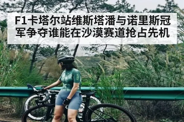 F1卡塔尔站维斯塔潘与诺里斯冠军争夺谁能在沙漠赛道抢占先机